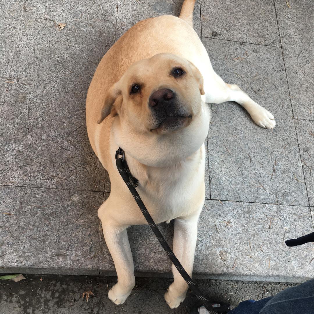 黑色灬