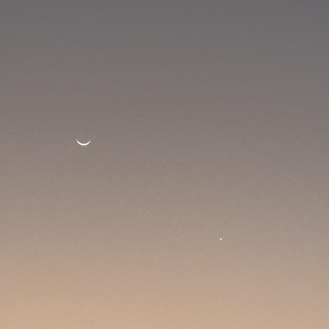 贵港市锦福木业有限公司