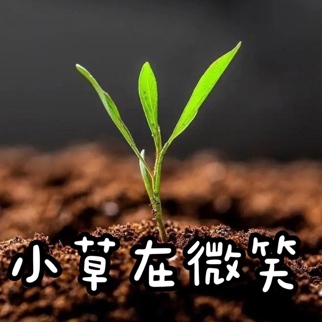 重庆信益人力资源管理有限公司