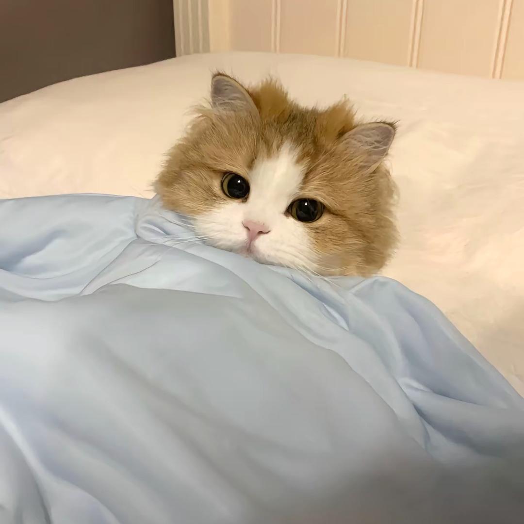 1..