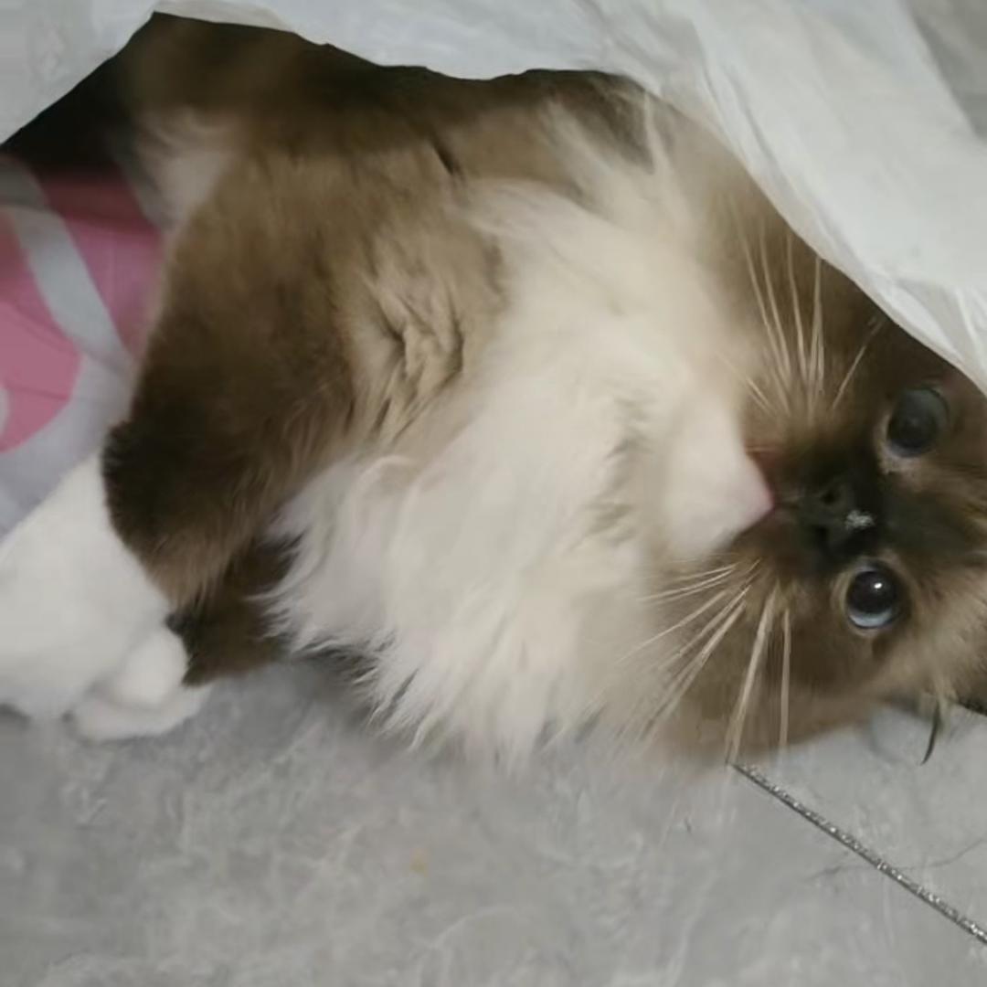 *慢热:D*