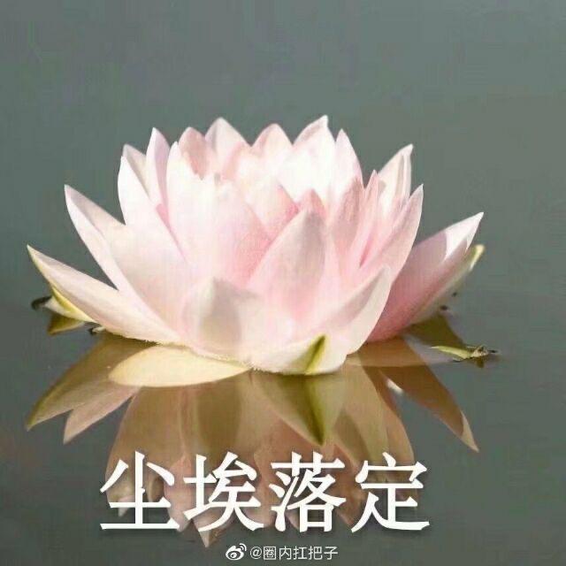 你美式叭