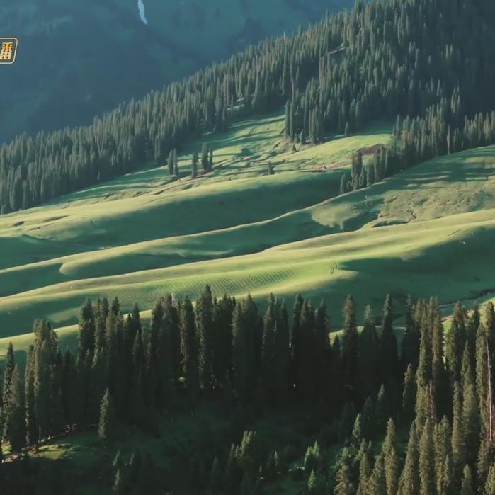 🌈大圣小鱼🐟