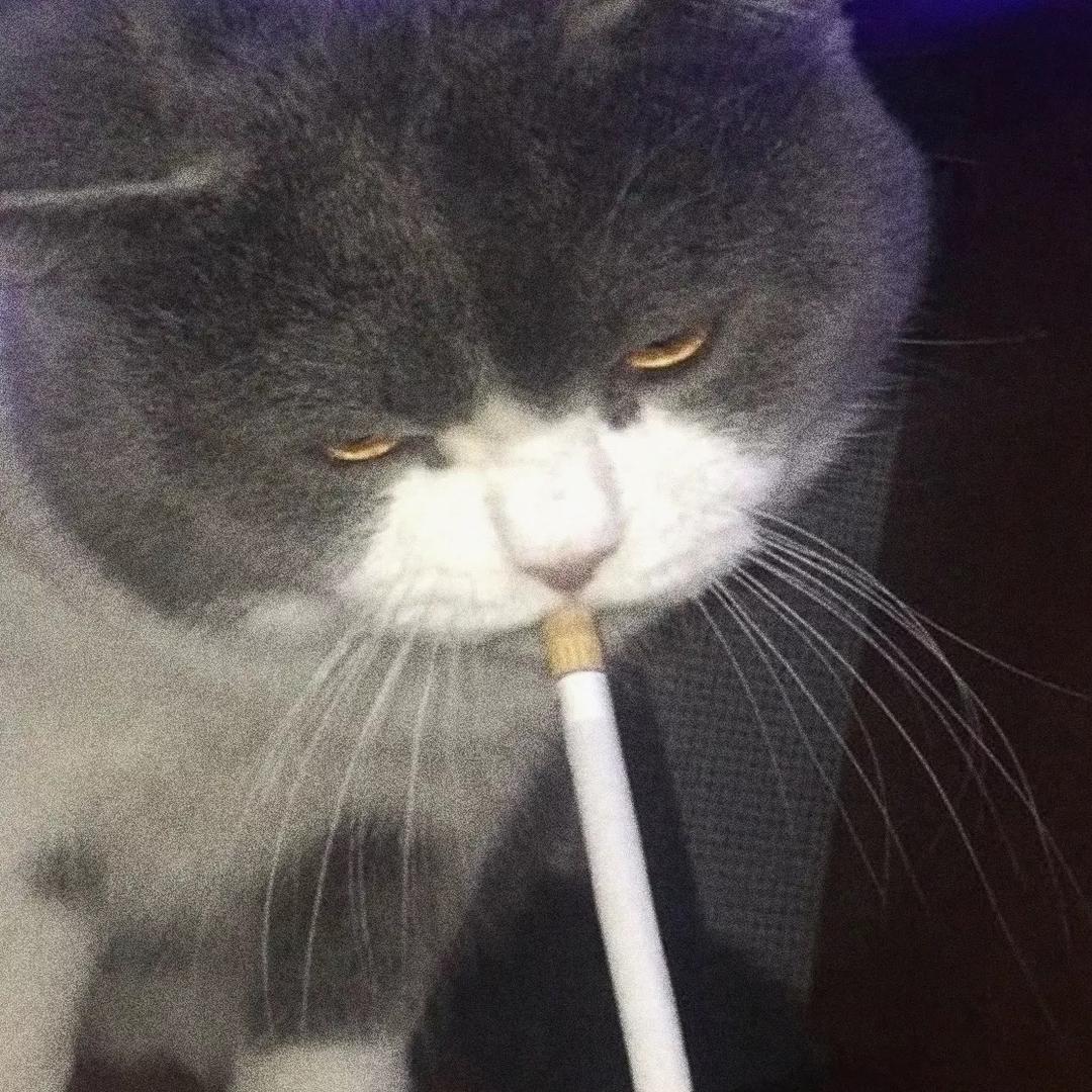 横刀一笑