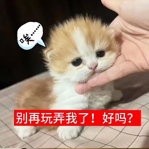 雨滴滴滴°