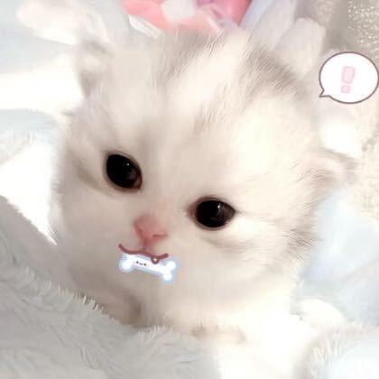 秒针在等待