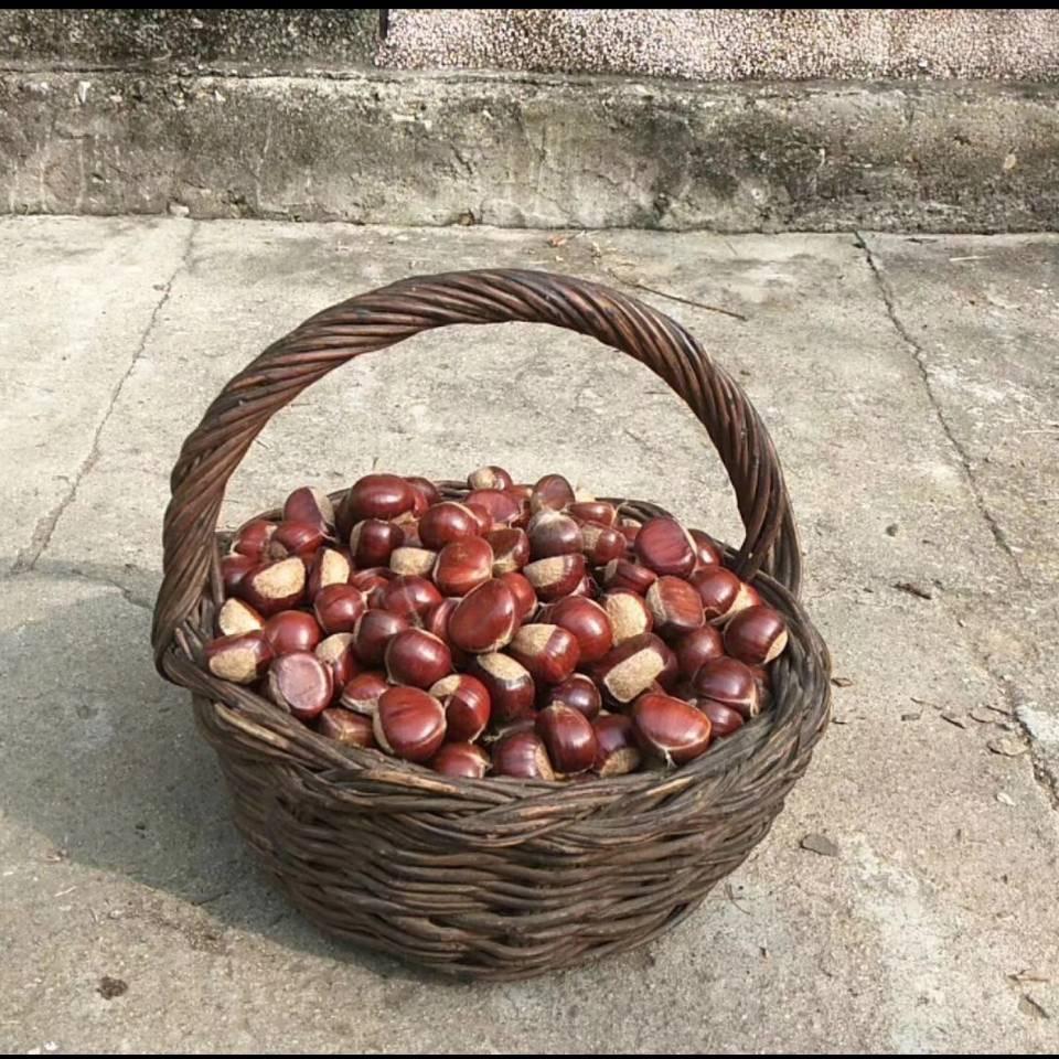 遵化板栗代收李军果