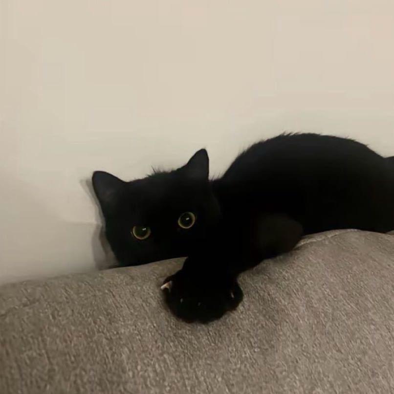 ZQ.
