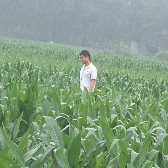 大军说实话