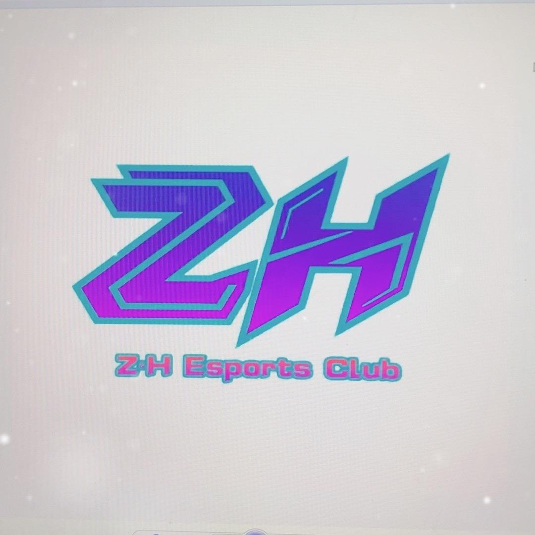 ZH巅峰电竞二梦（三角洲）