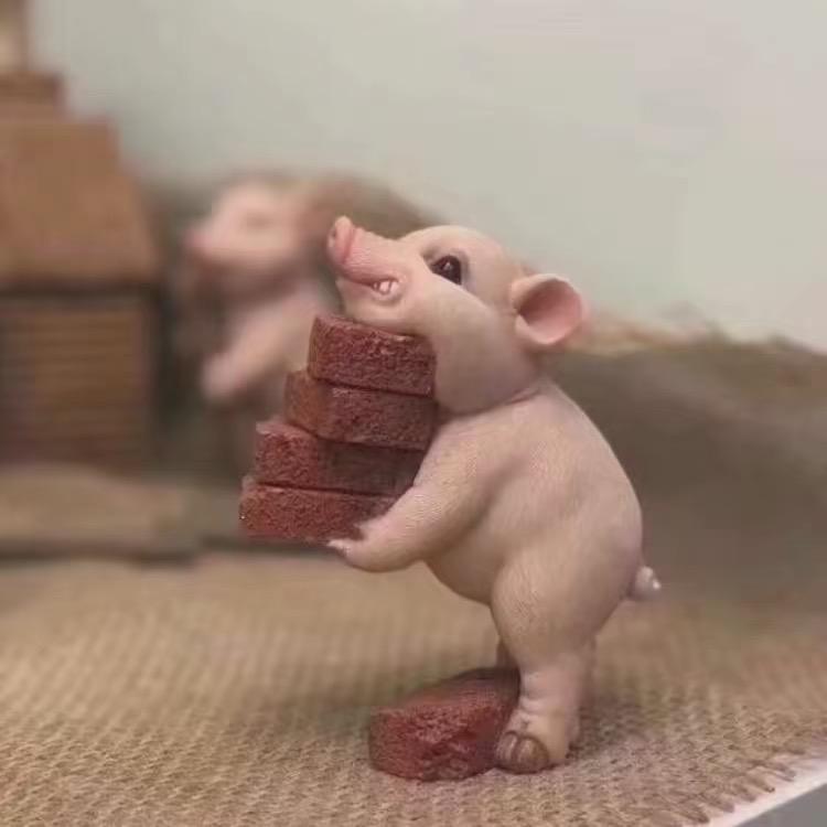 饿个菜