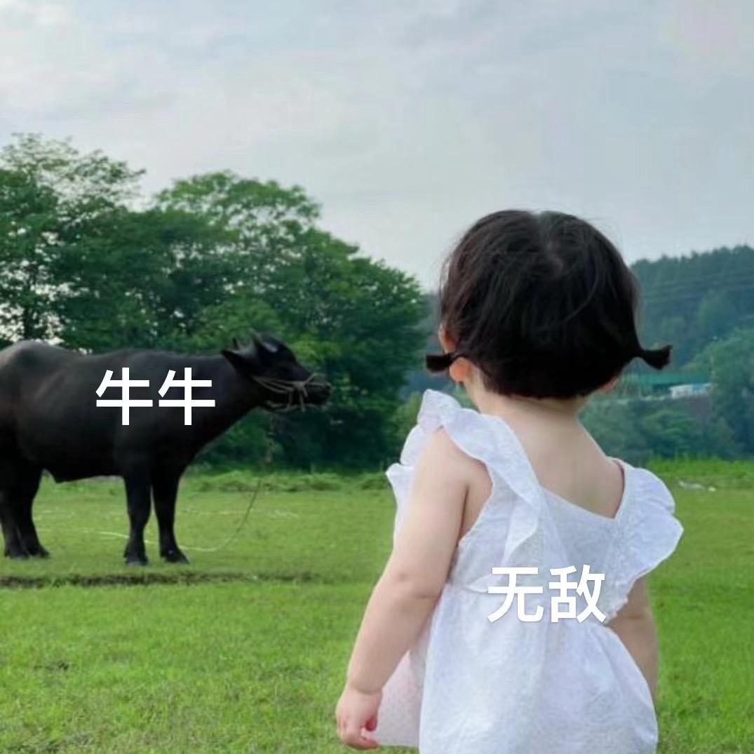 无敌牛牛