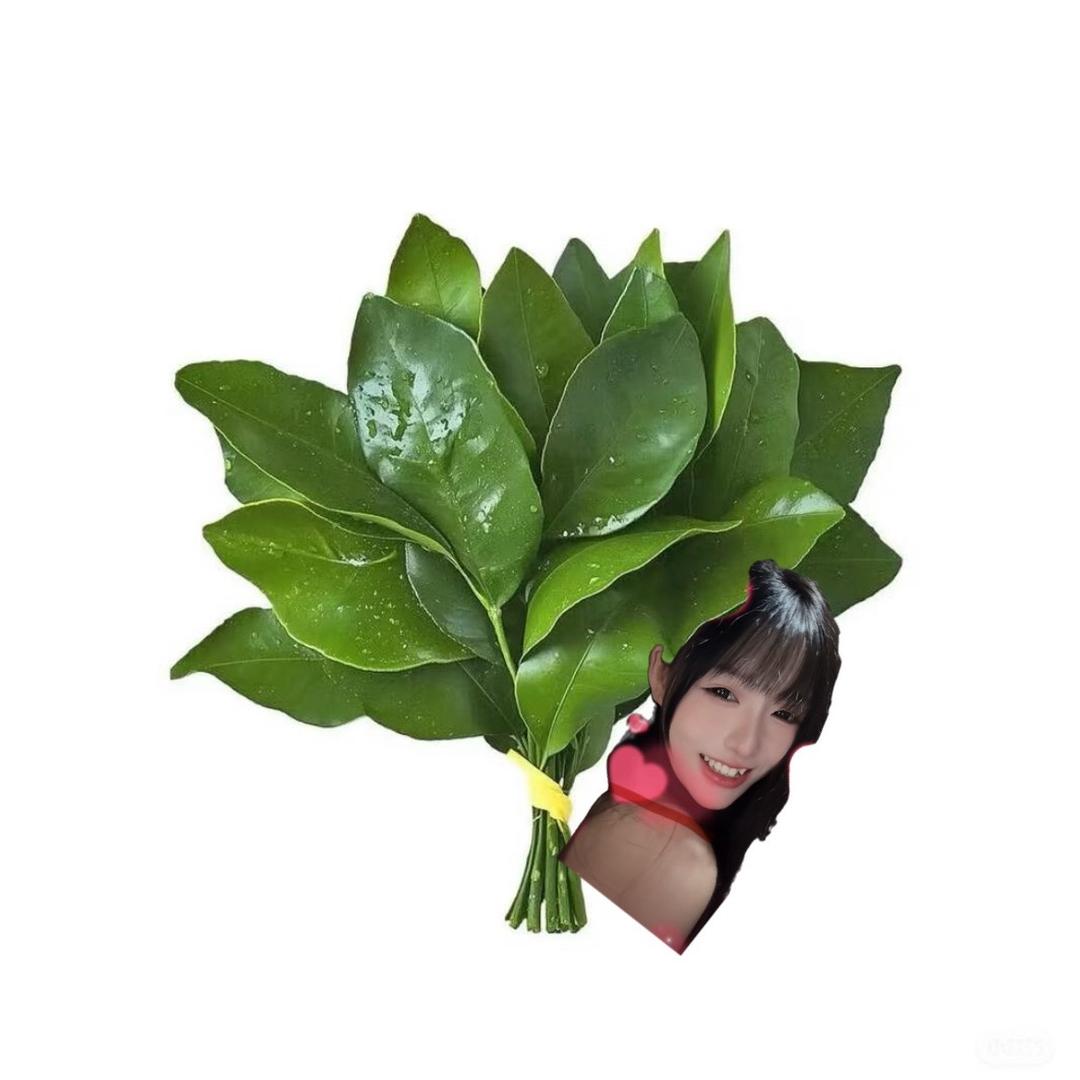 冰冷首陀罗/.🔥