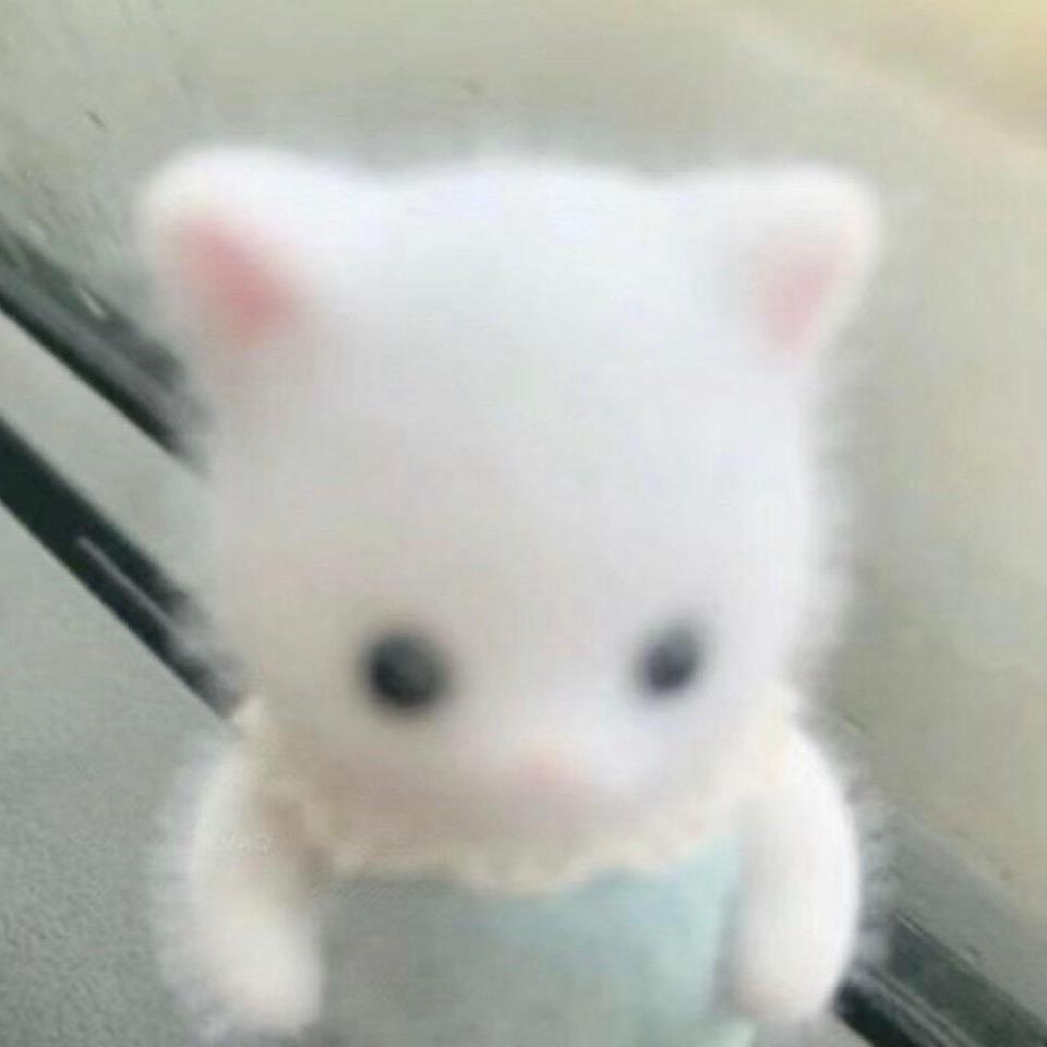 纸巾•︡ ‿ •︠ᐝ