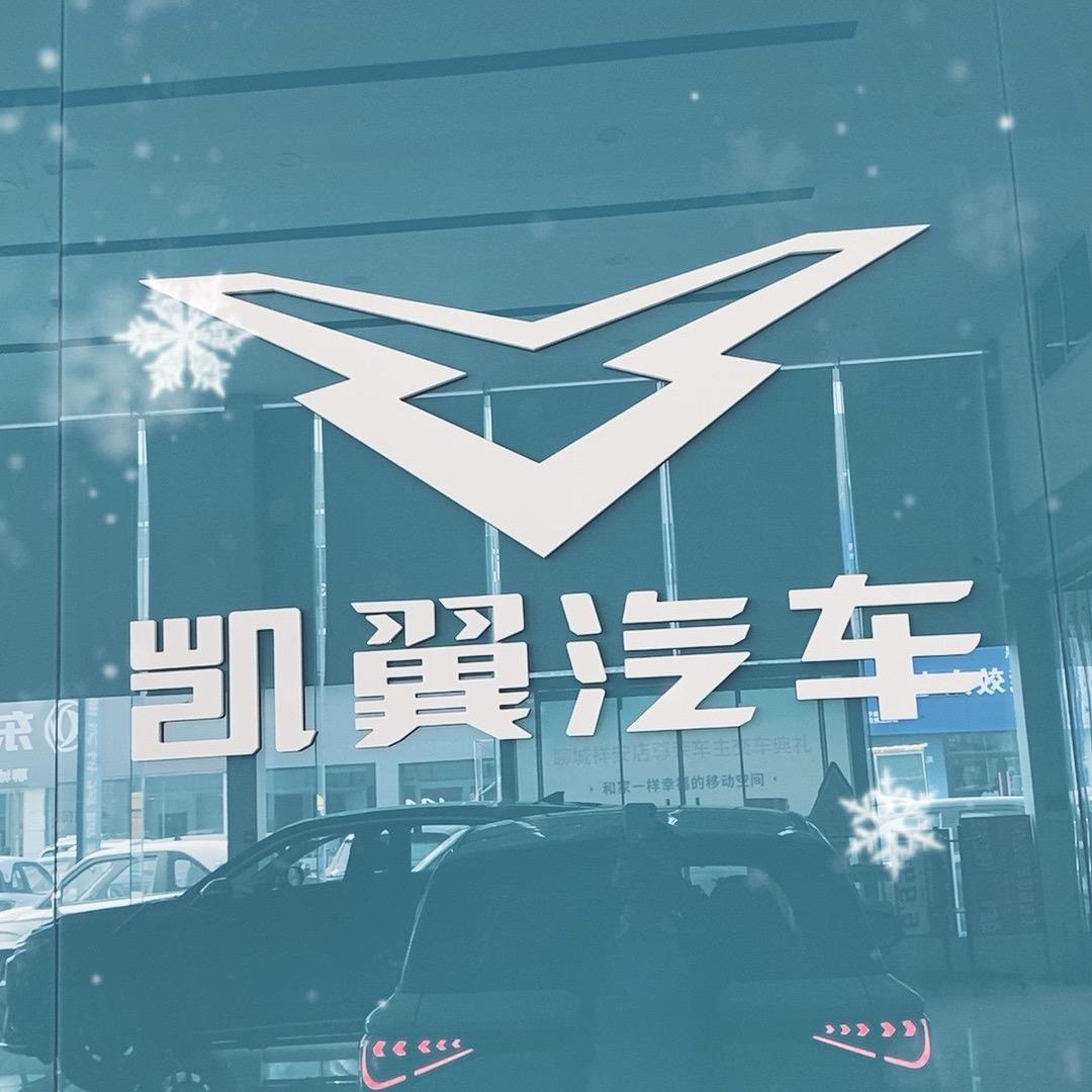 聊城祥安凯翼昆仑小李