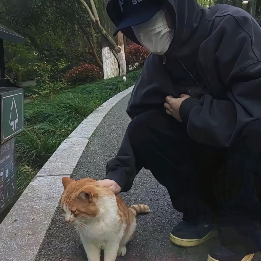 ᝰꫛ 所愛隔山海ꫀꪝ