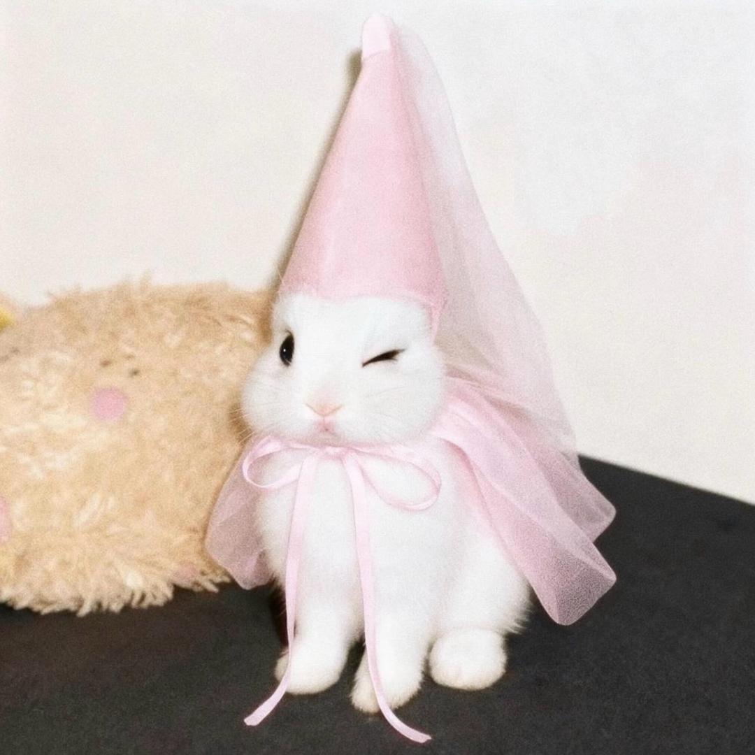 一点儿也不文静