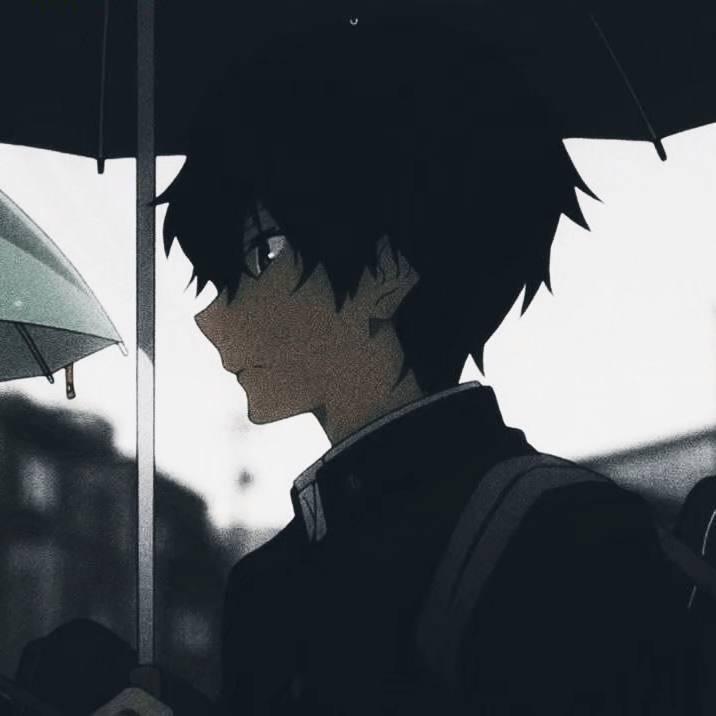 安禾.