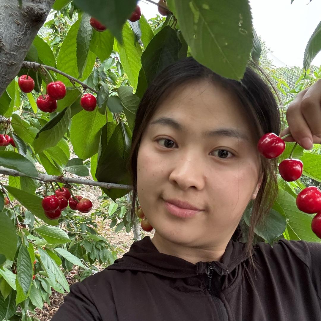 有片樱桃园🍒
