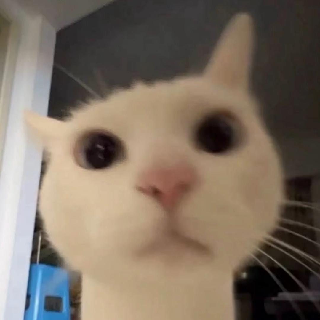 呵呵哒.