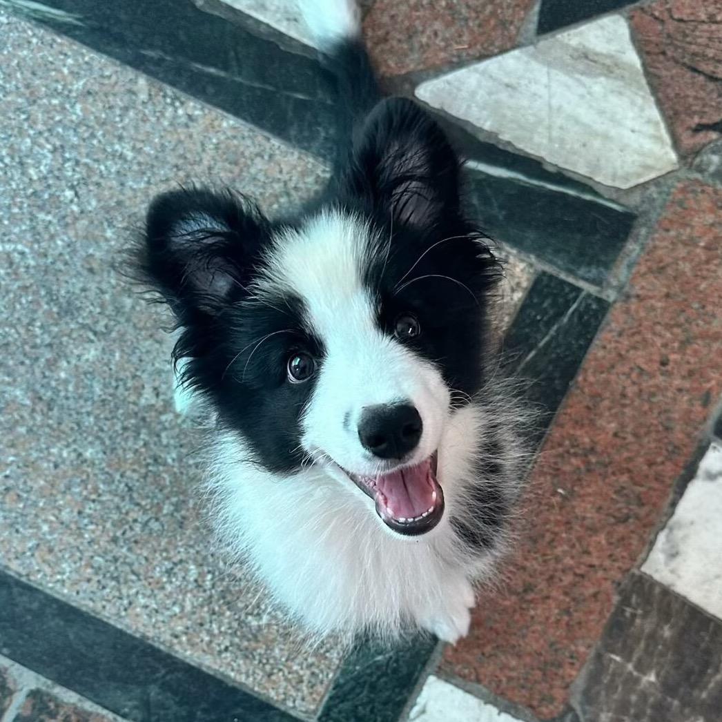 李多宝和李岁岁