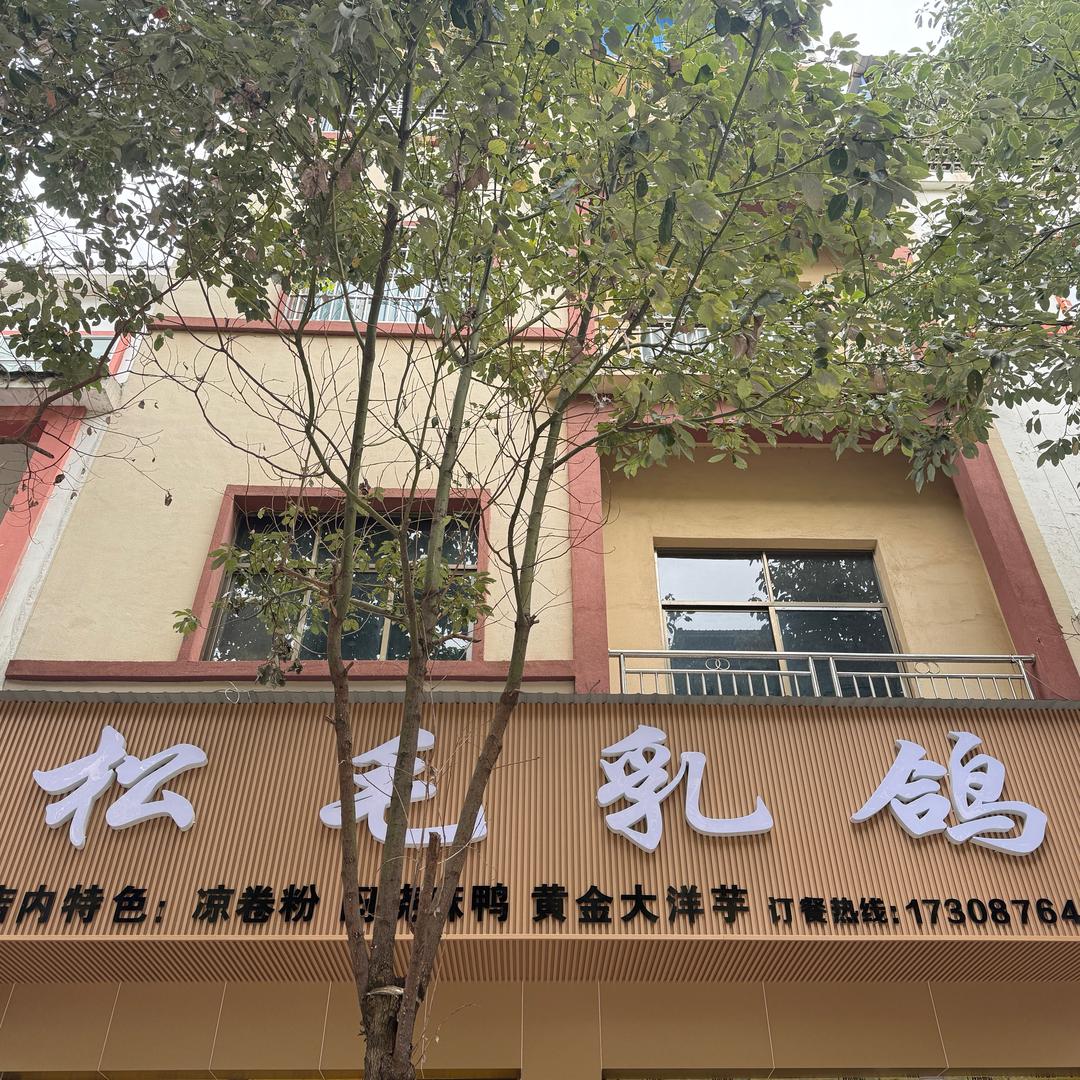 广南松毛乳鸽