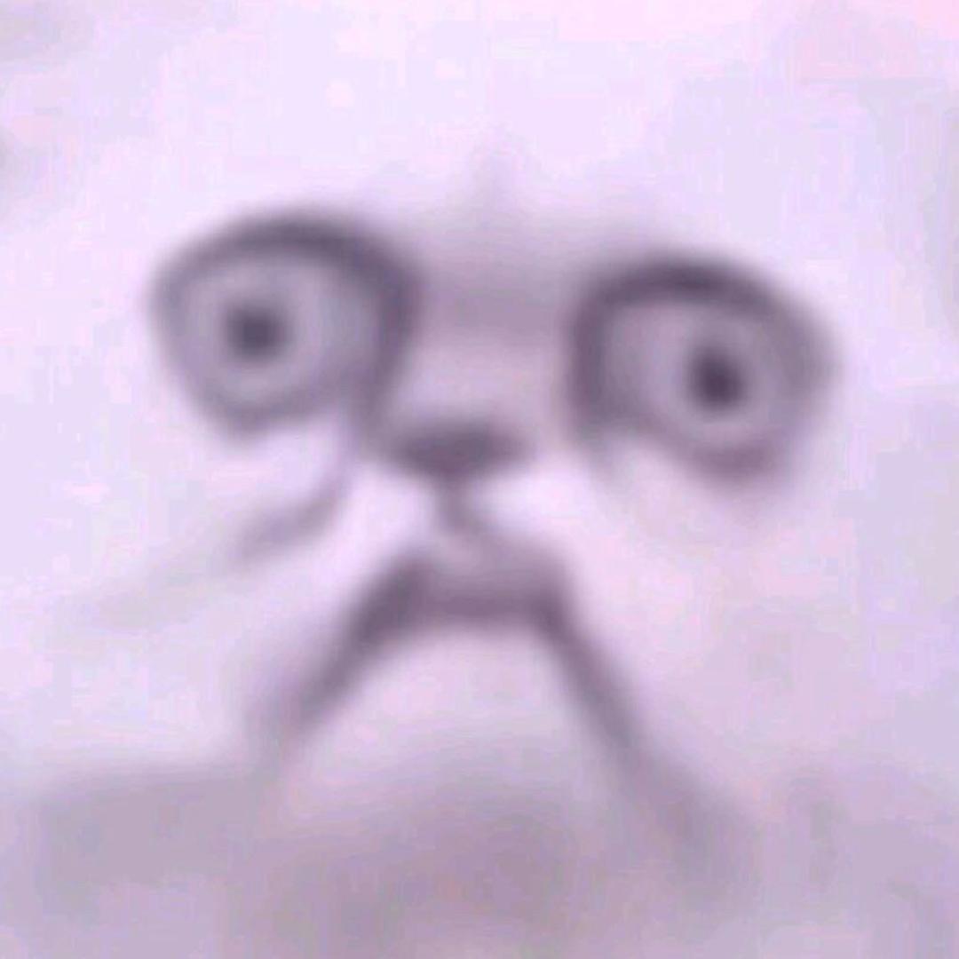 yahoo的宝贝