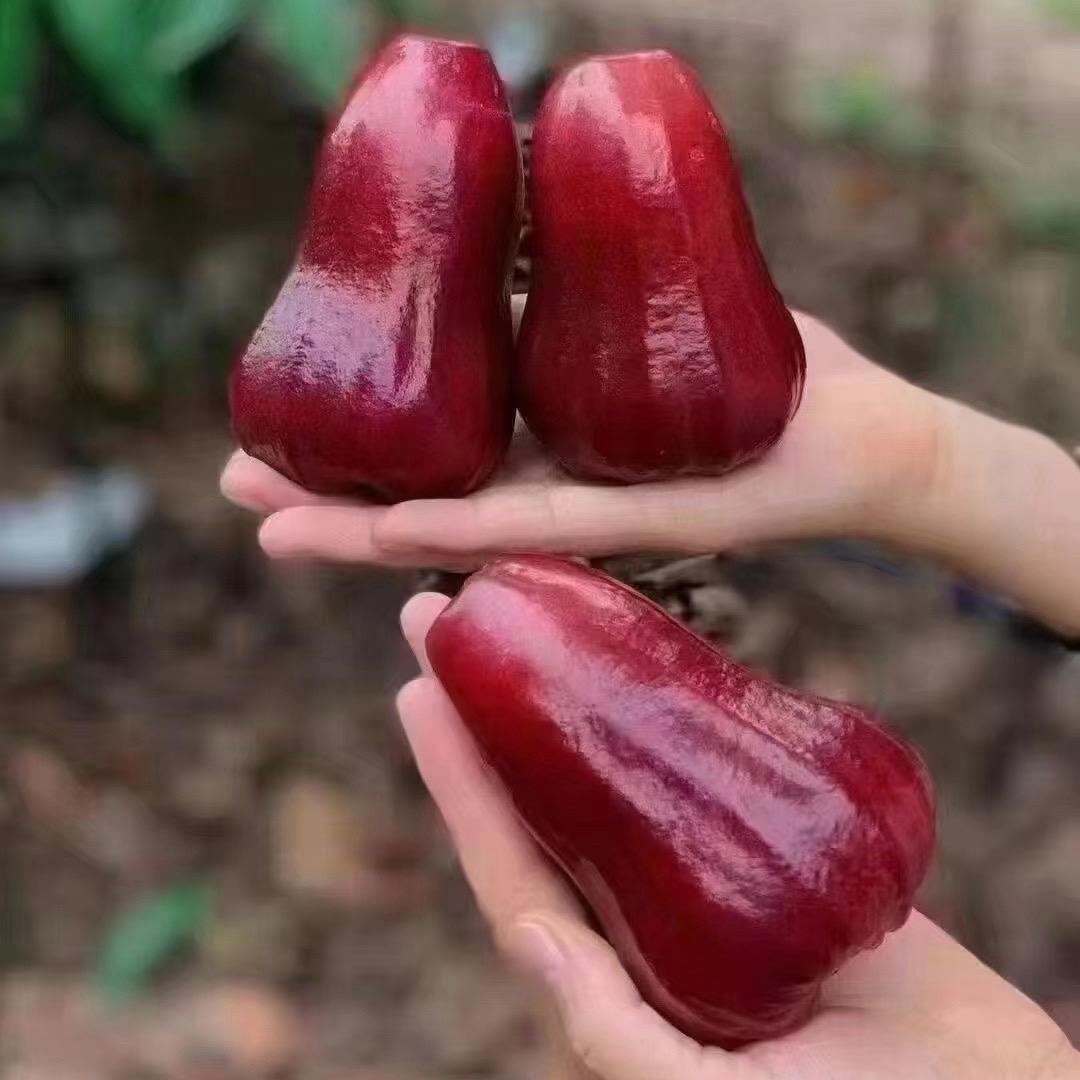 炫赫门小姐姐