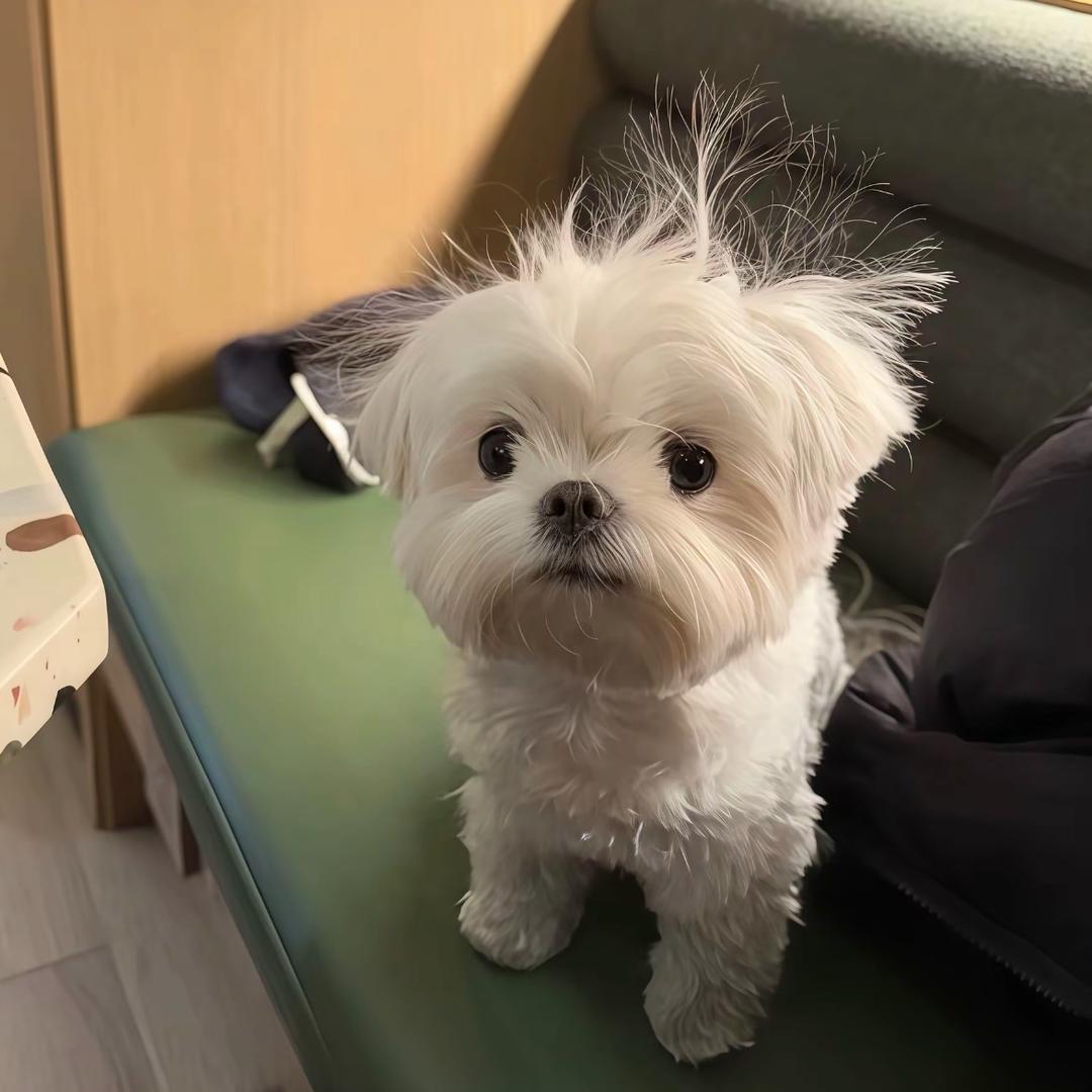林林。