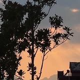 咚咚杂货铺