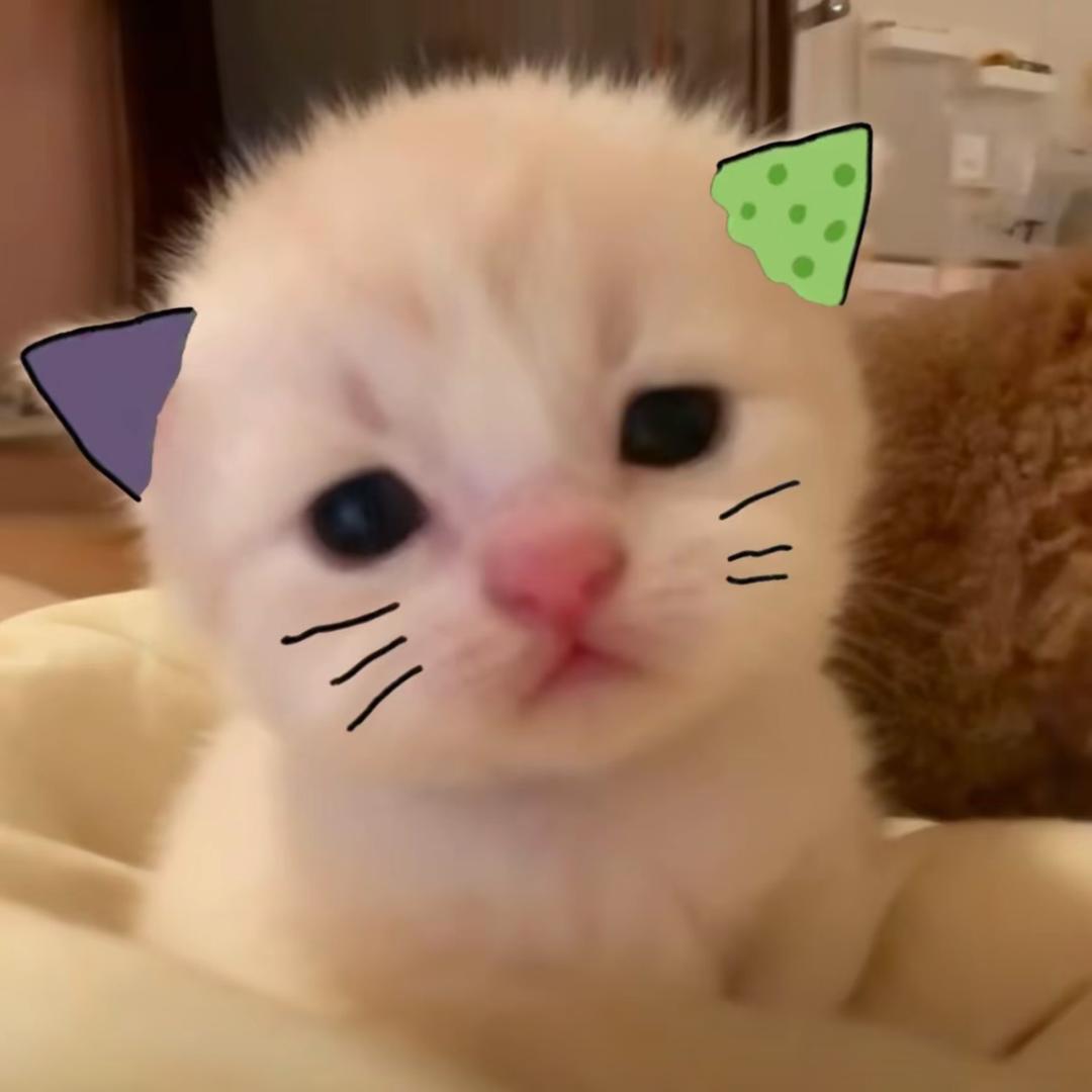 睡觉觉咯