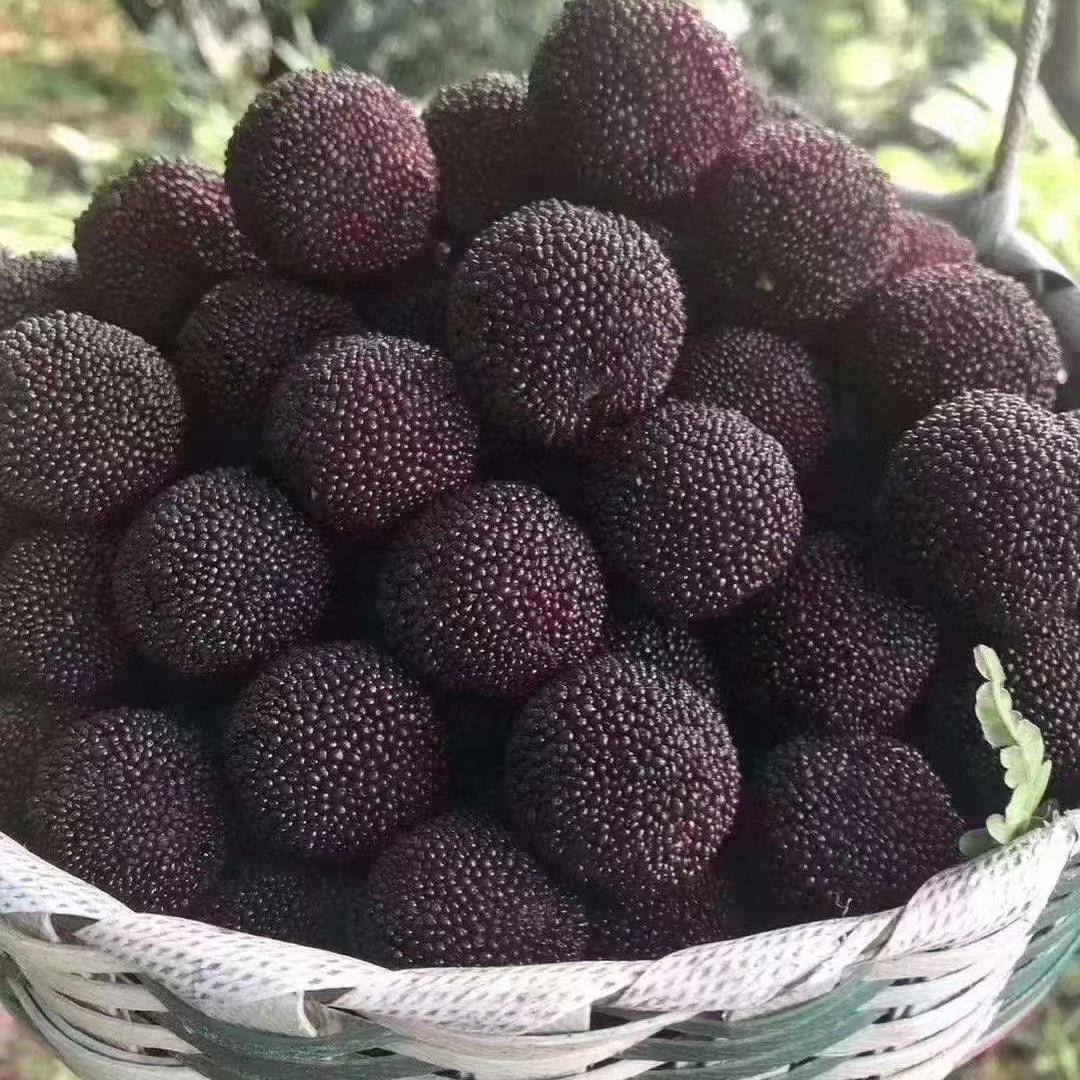 匡堰果品坊