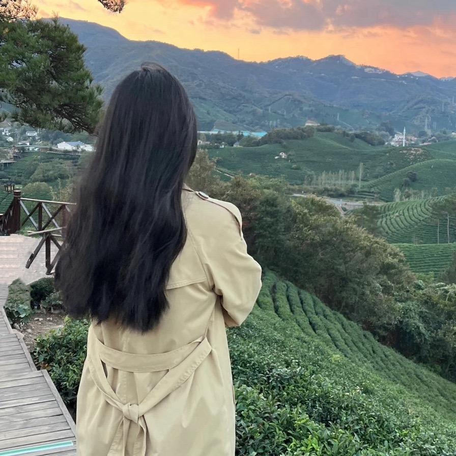 菜菜～