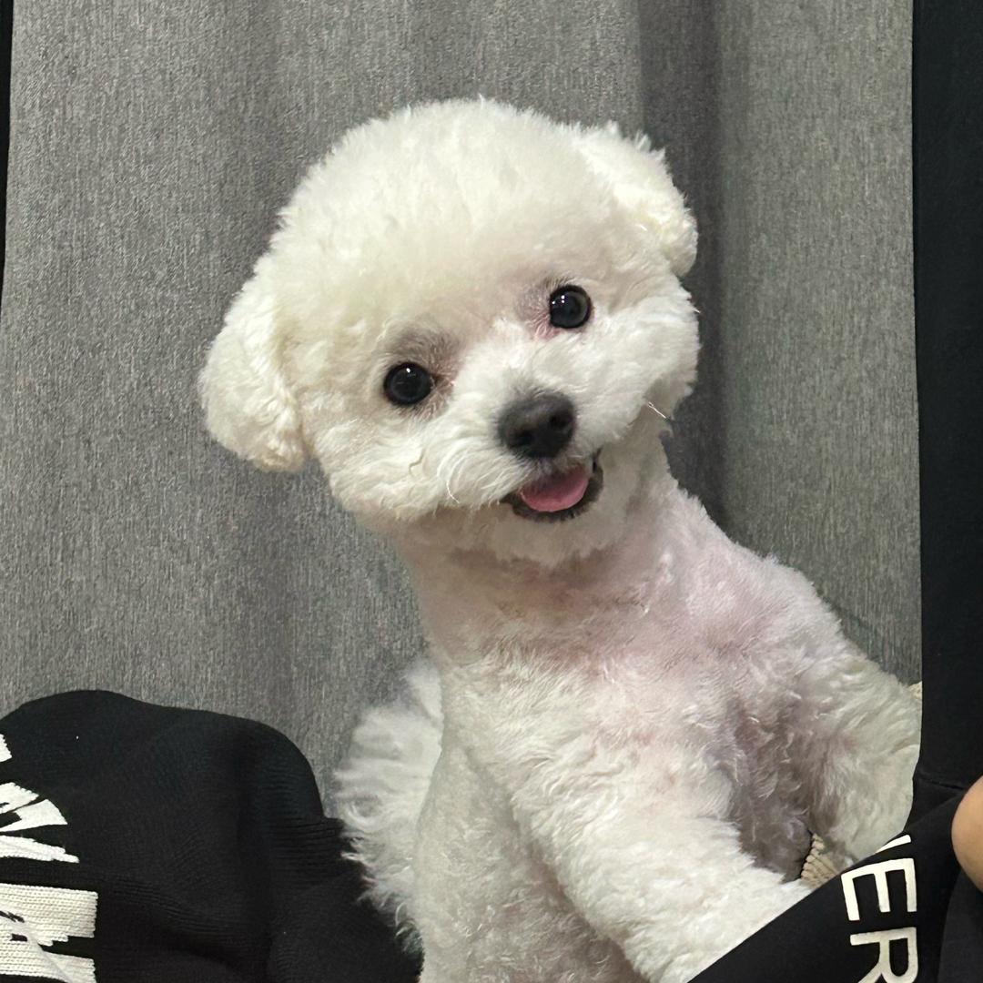 CC 普拉提