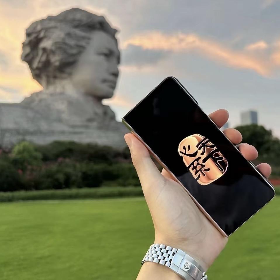 奥子折叠屏之家（捡漏专场）