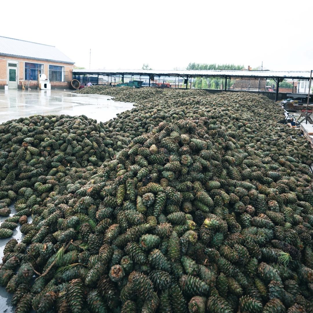 东北三点严选小铺