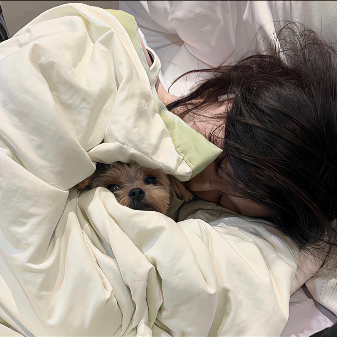镾䛐䌳