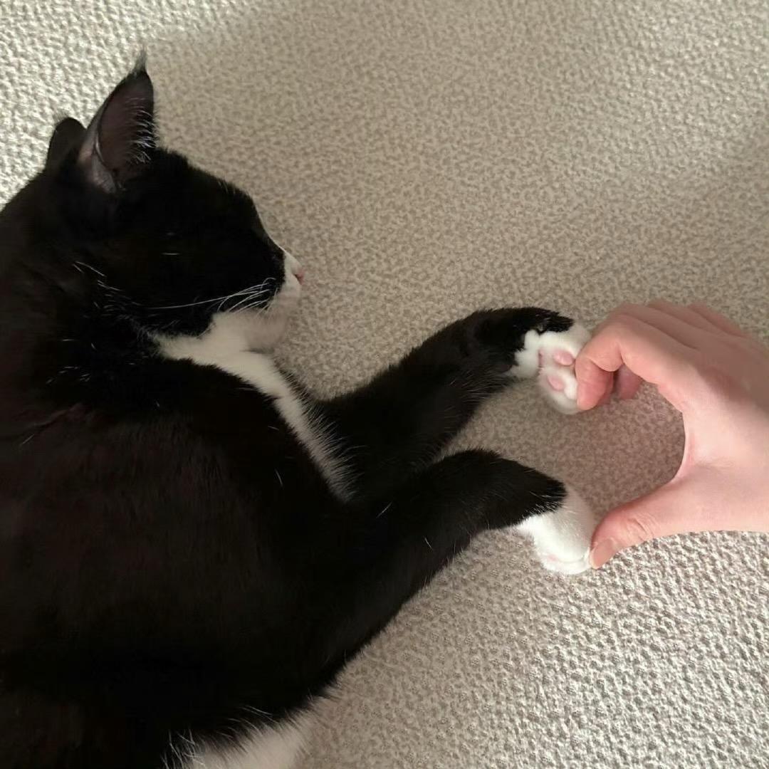啊！椰子.