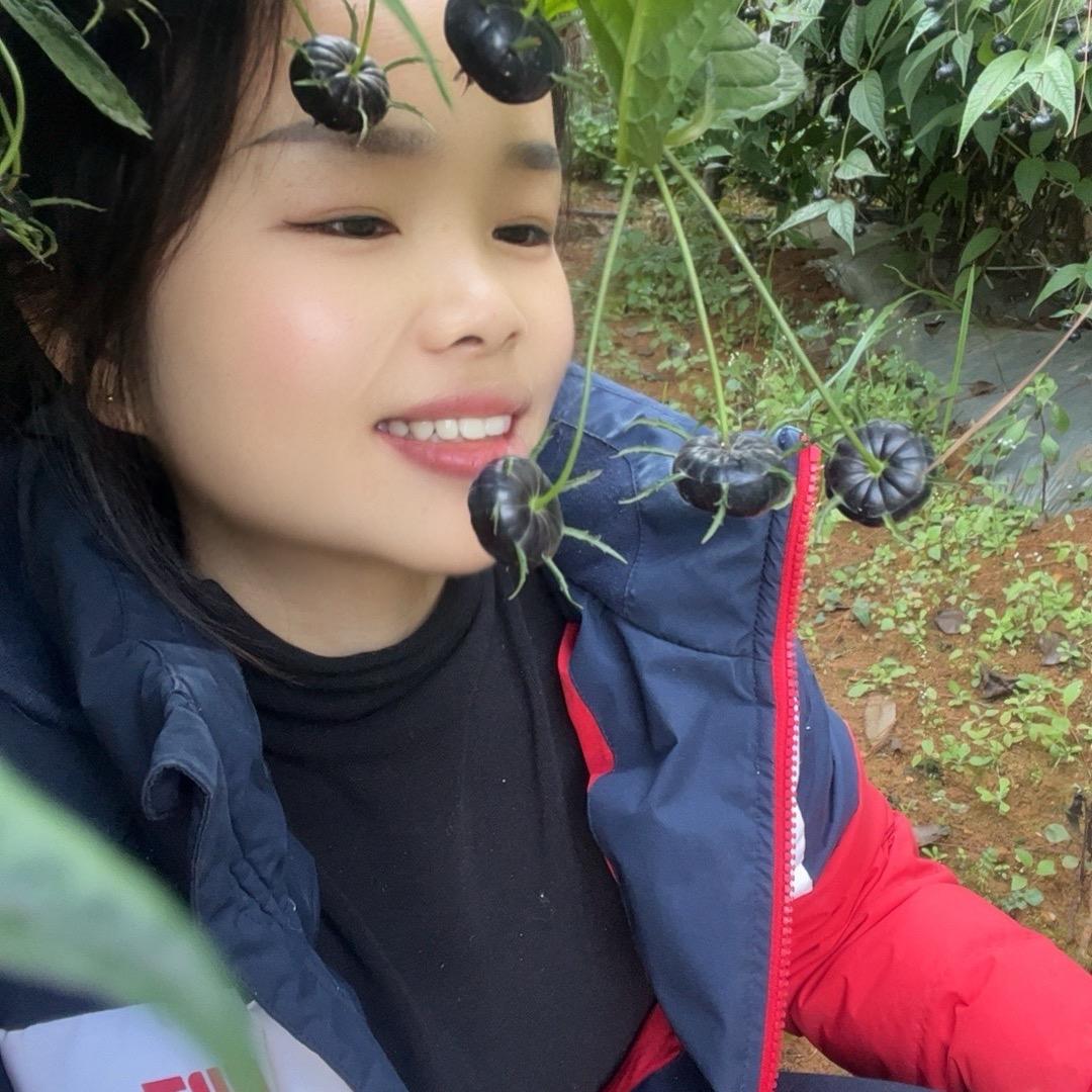 云南小玉