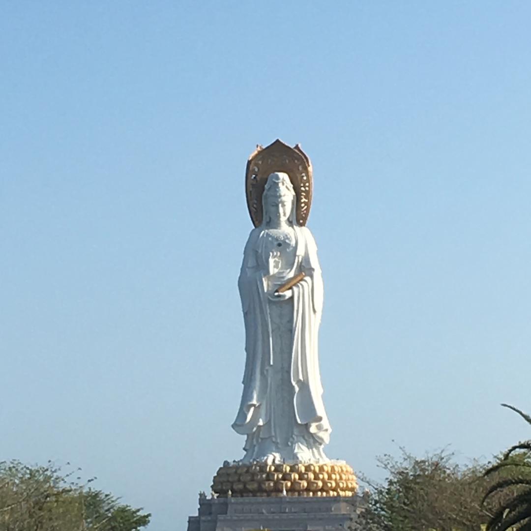 禹禹