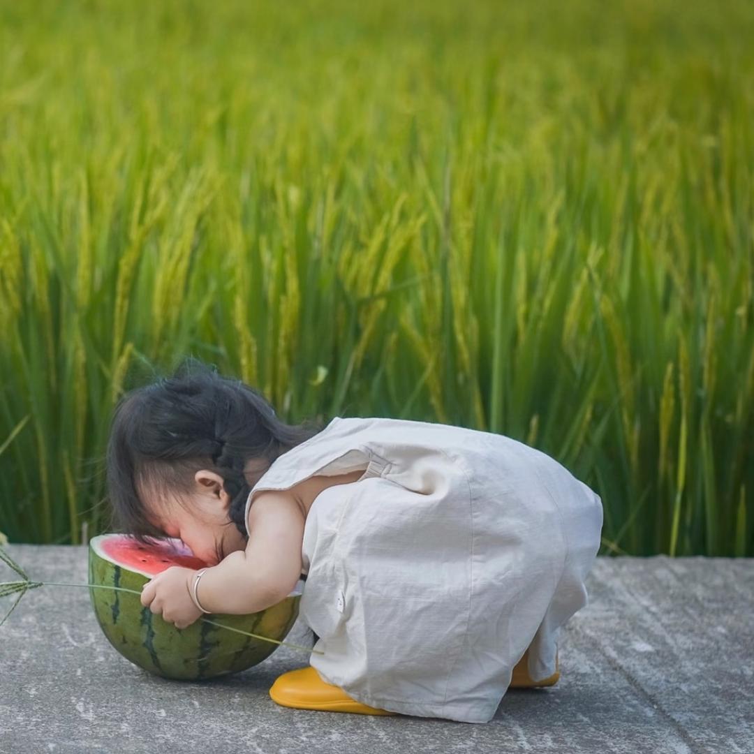 小甜瓜🍉
