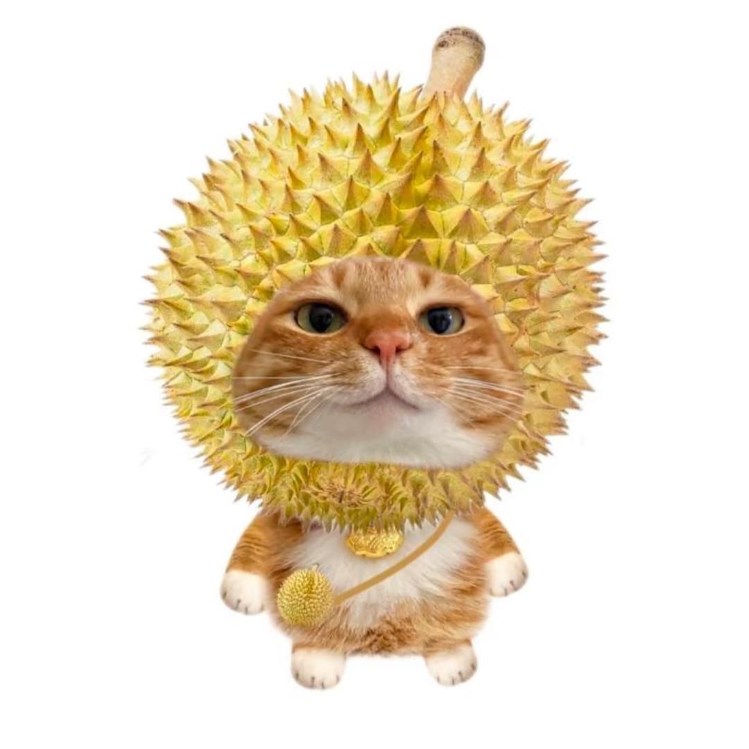 情相悦