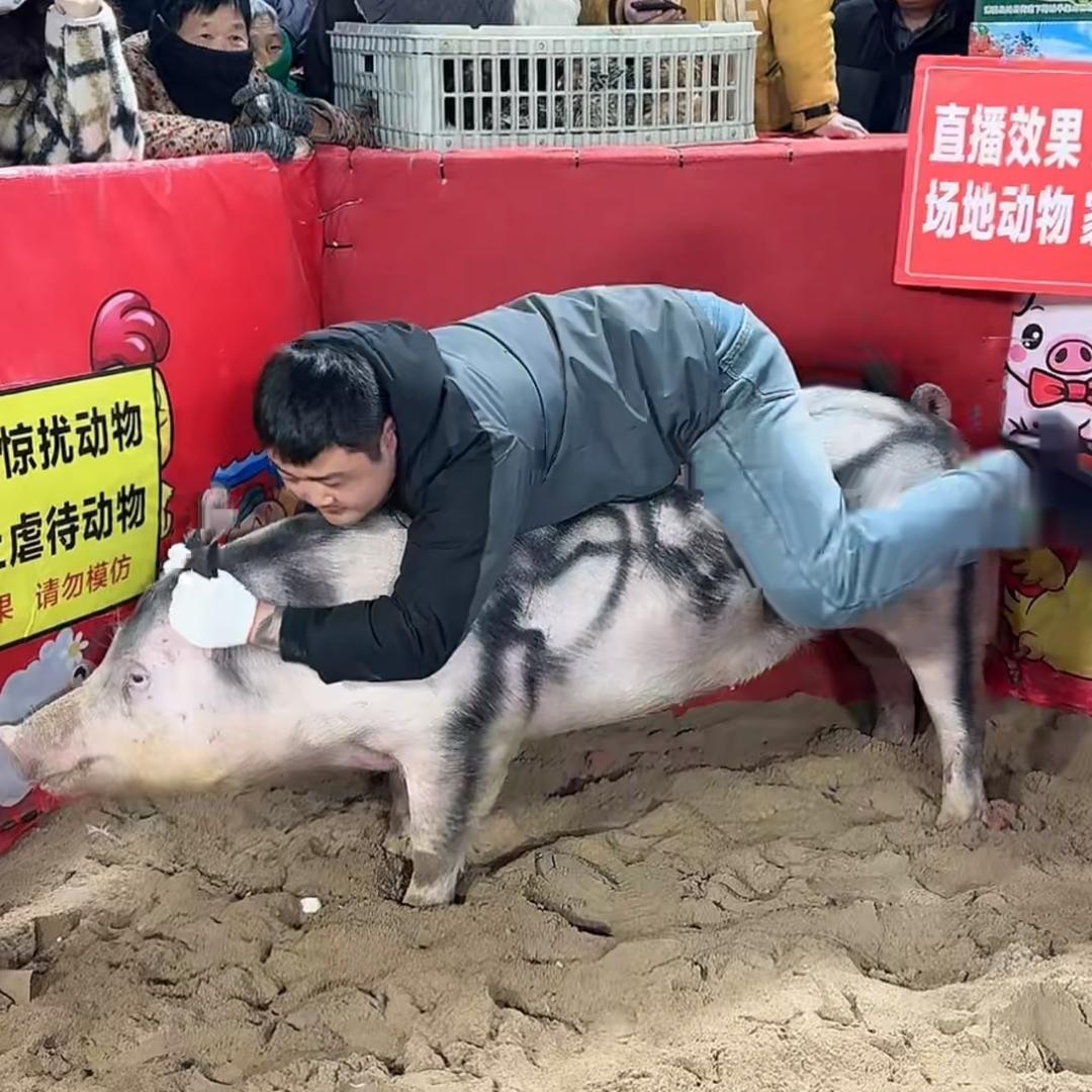 枫糖核桃丹麦酥