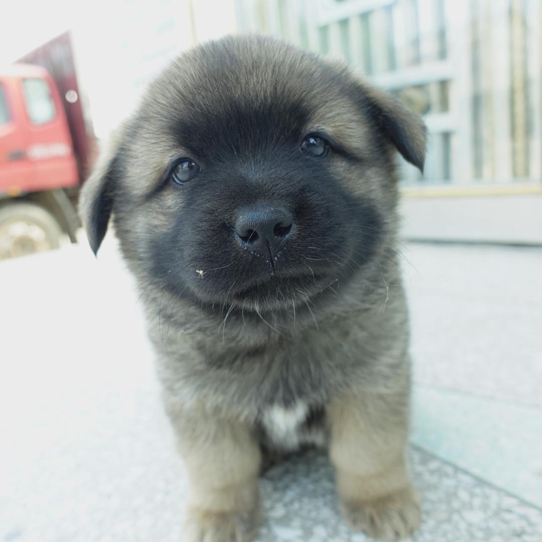 小乌不打烊