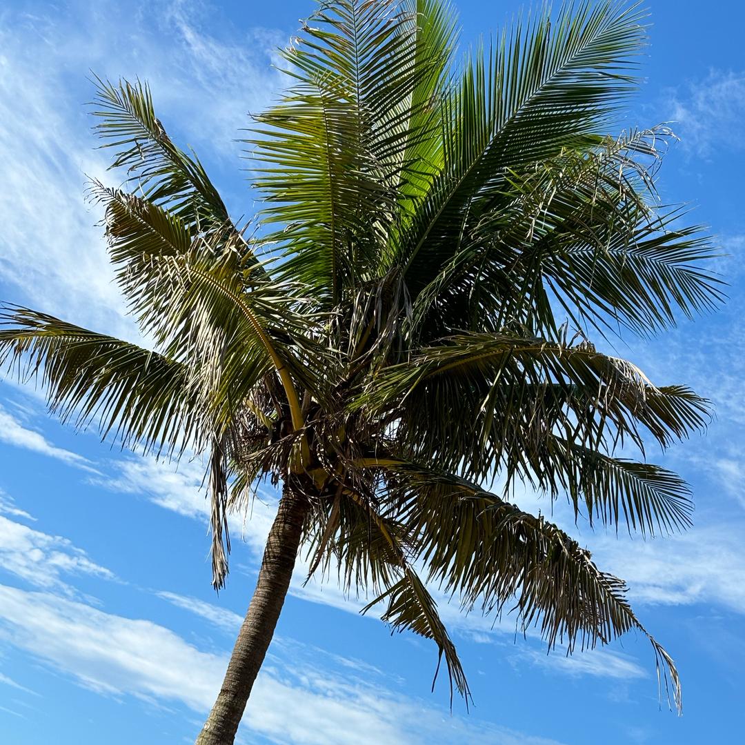 💕👀坏脾气👀💕