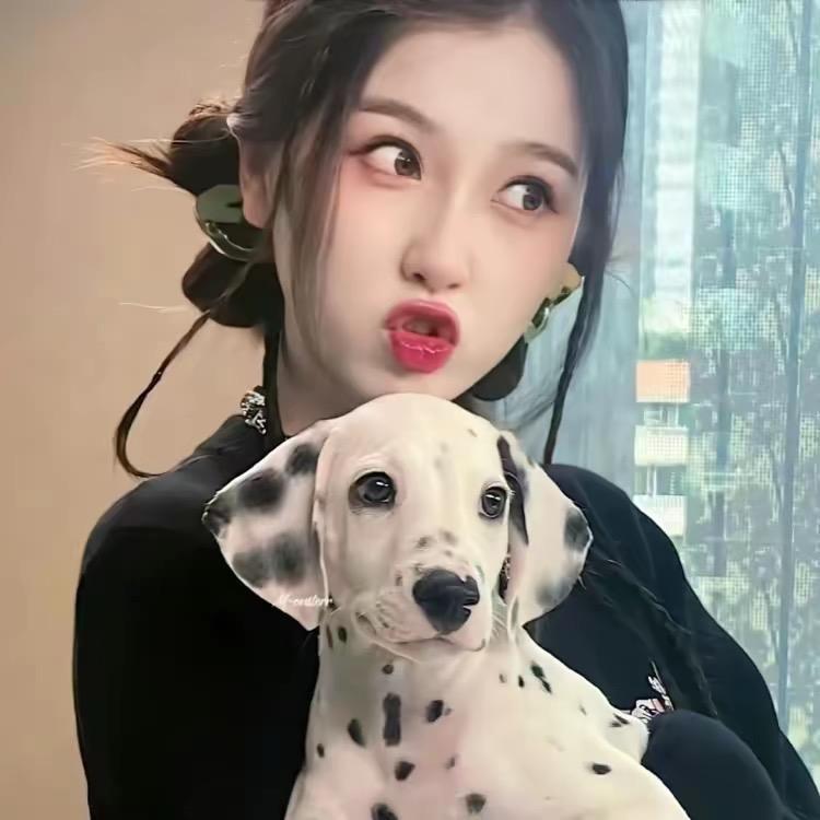 番茄追剧