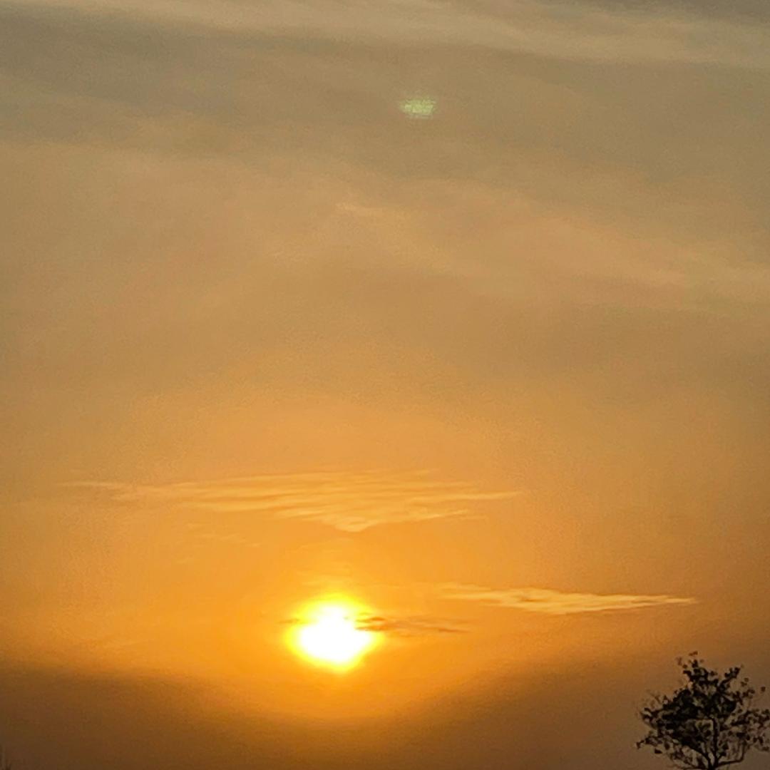 ⁎⁍̴̛ᴗ⁍̴̛⁎