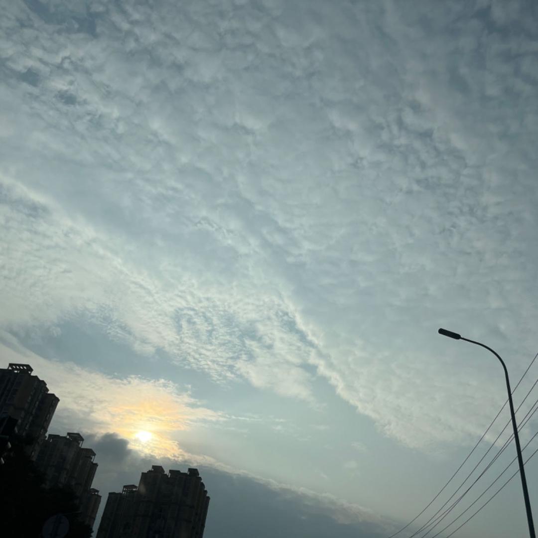 游走在黑夜的行者