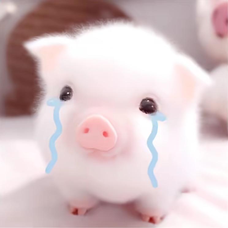 蔡小葵.