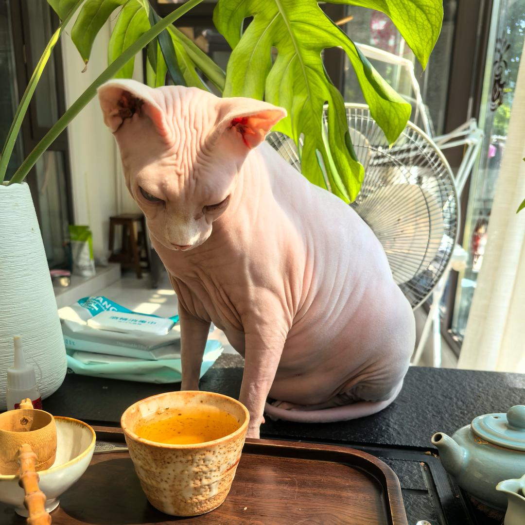 米西